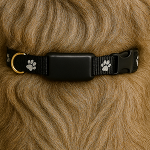 Pawtracker Standard GPS