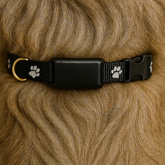 Pawtracker Standard GPS