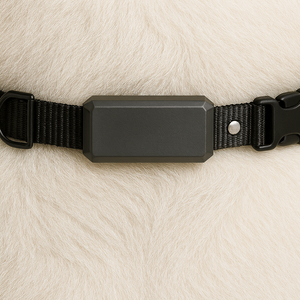 Pawtracker Extra-Wasserdichtes GPS