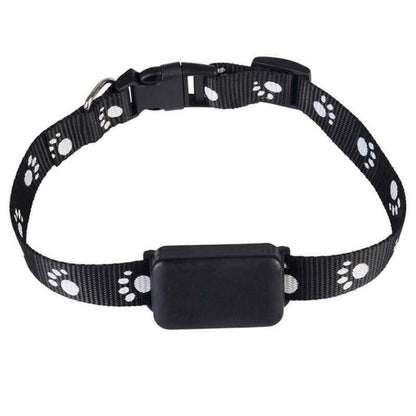 Pawtracker Standard GPS